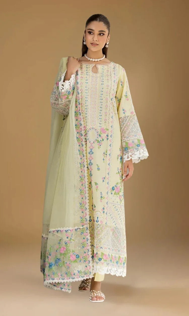 Nimora - Soft Glow in Pastel